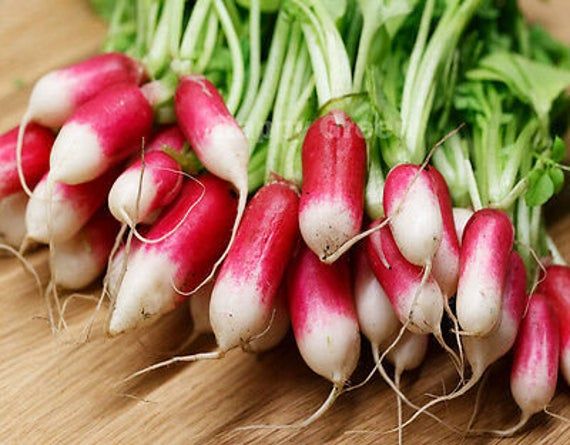 Radish Half Red Seeds