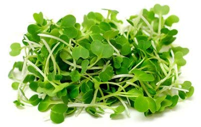 Pak Choi Microgreens Seeds