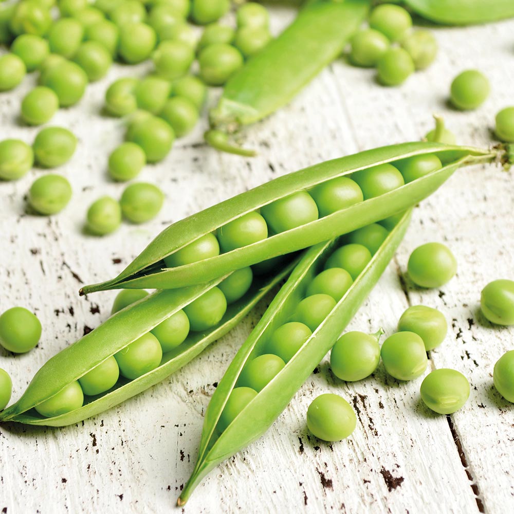 Peas Seeds