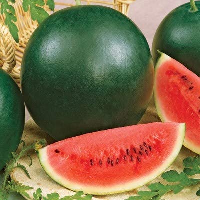 Water Melon Green Round Seeds