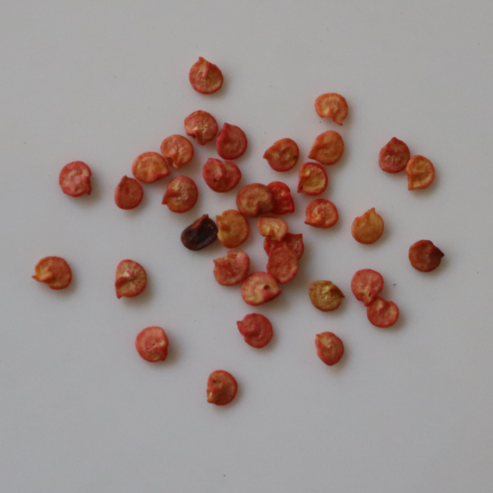 Capsicum Green Seeds