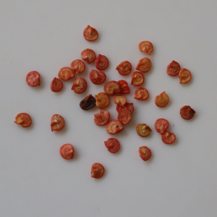 Capsicum Green  Seeds