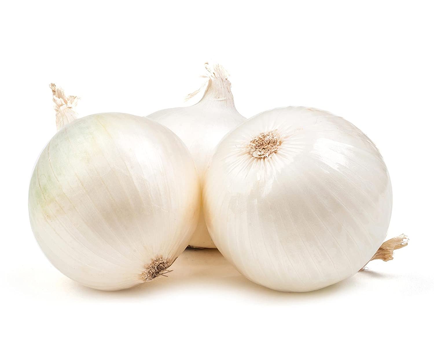 Onion White Seeds