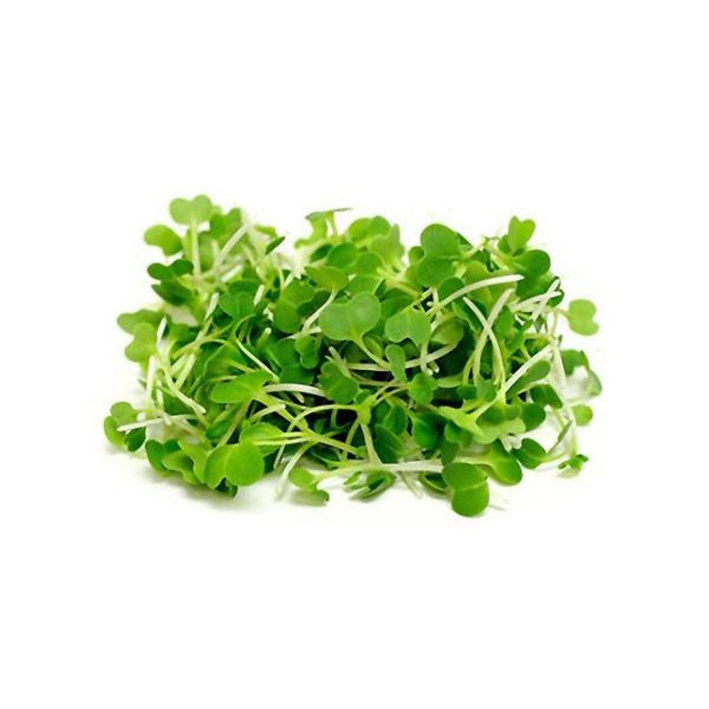 Pak Choi Microgreens Seeds