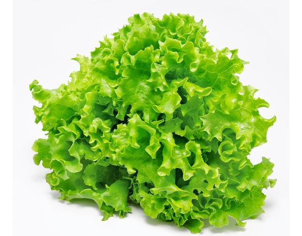 Lettuce Green Seeds