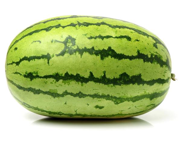 Watermelon Striped Oval Seeds