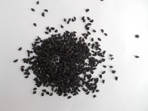 Leek Seeds