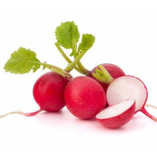 Radish - Red