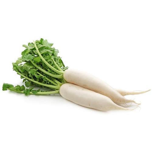 Radish -Snow White