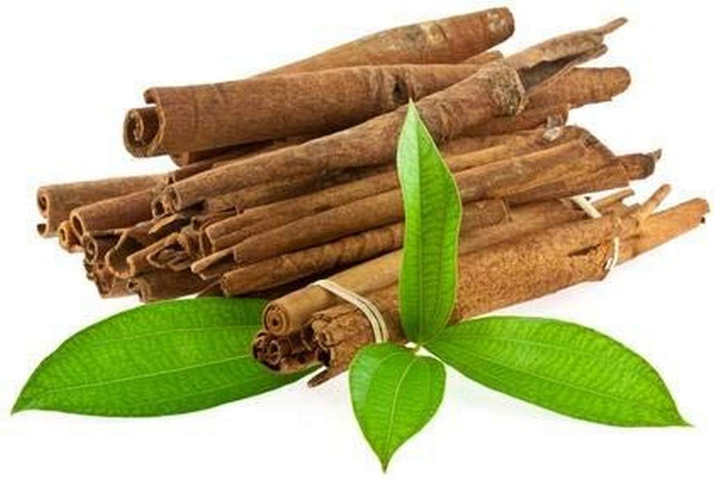 Live Plant Karauvapatta (Cinnamon) Aromatic Condiment Garden Plant (1 Healthy Live Plant)
