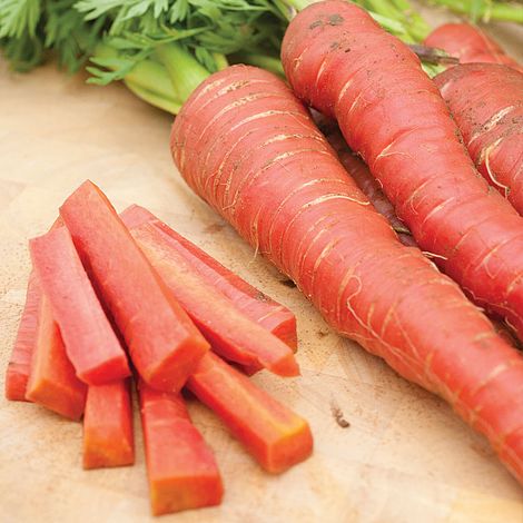 Carrot Red  Seeds
