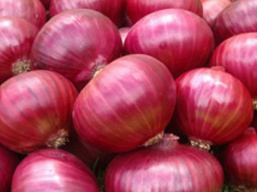 Premium red onions