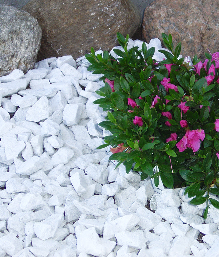 5kg White Marble Chips Pebbles Stone for Garden Decoration/Plant Decoration/Aquarium  Decoration/ Plants Pots Home