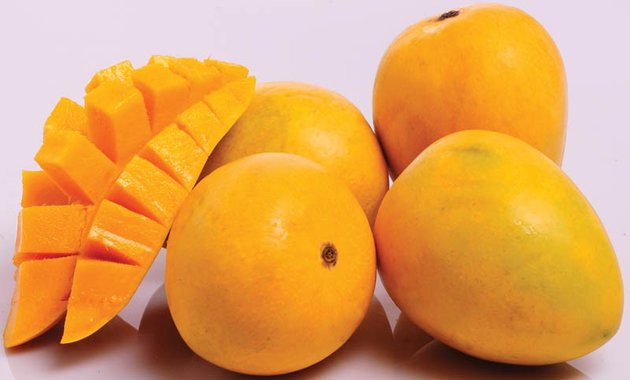 All Season Mango Fruit Live Plant (1 Healthy Plant)